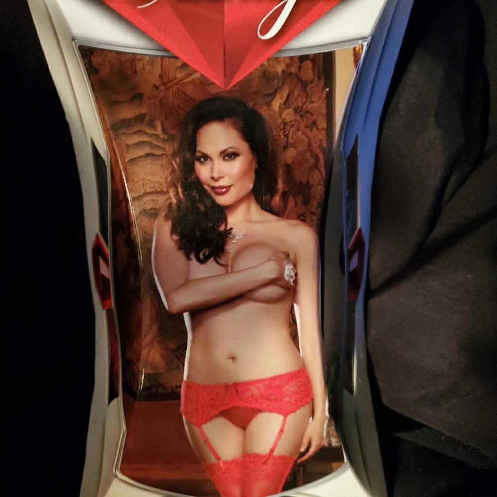 Stretch Lace Garter Belt in Red